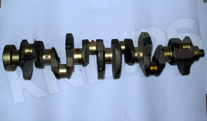 RADILICA MOT.913 CIL-6 04157526/02931056