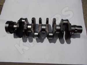 RADILICA MOT.1013 CIL-4 04299259/4257/04256816/02929962 EX